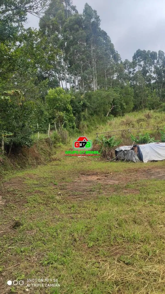 Terreno, 2 hectares - Foto 4
