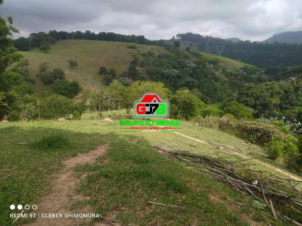 Terreno, 4 hectares - Foto 7