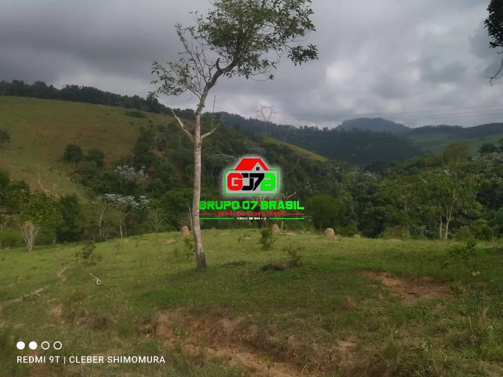 Terreno, 4 hectares - Foto 4