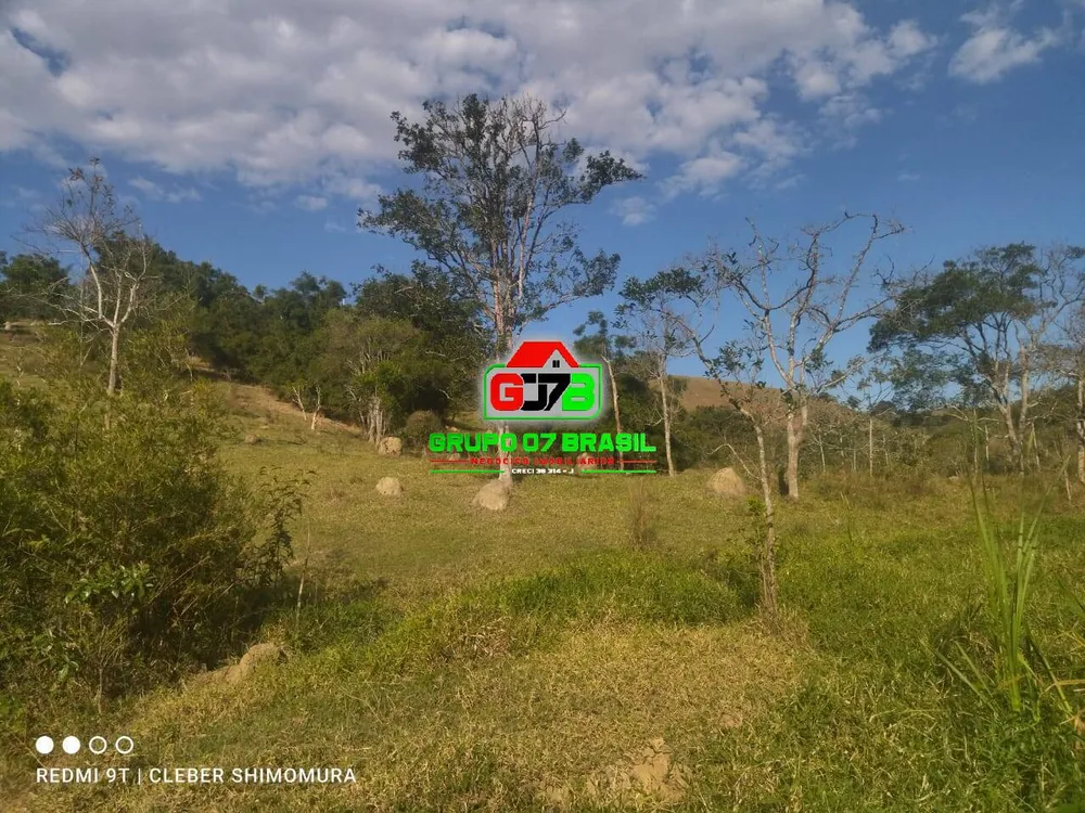 Terreno, 4 hectares - Foto 8