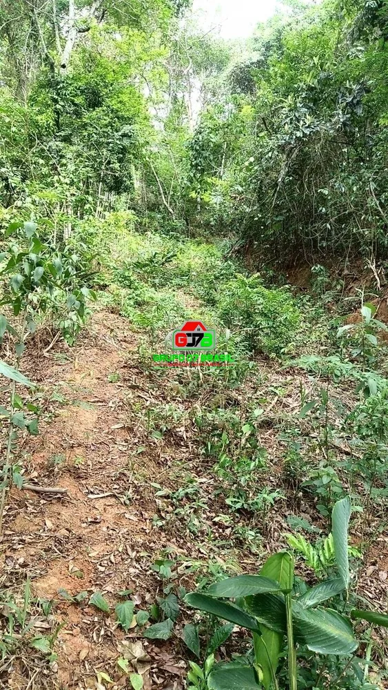Terreno, 5000 m² - Foto 10
