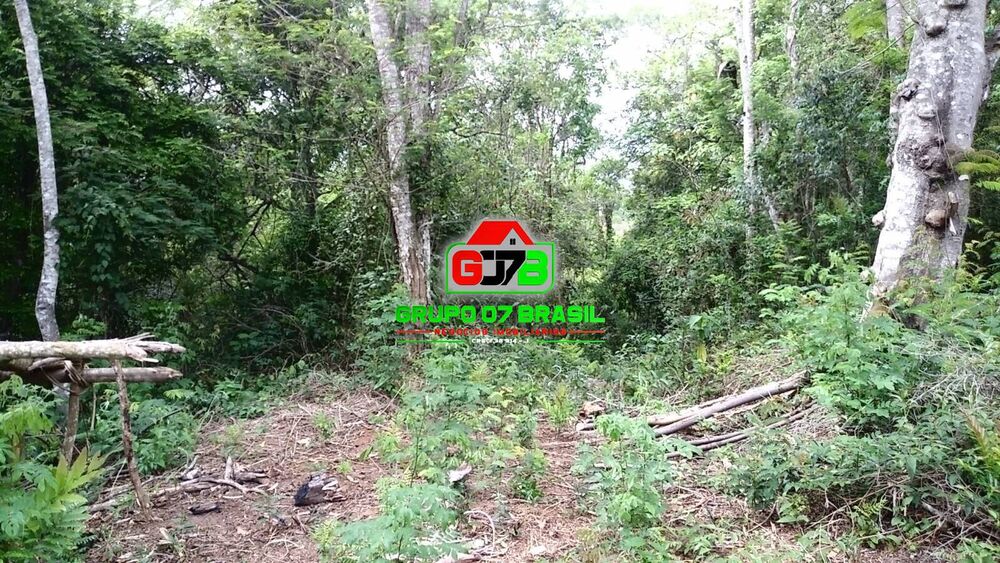 Terreno à venda, 5000m² - Foto 3