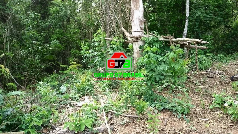 Terreno, 5000 m² - Foto 6
