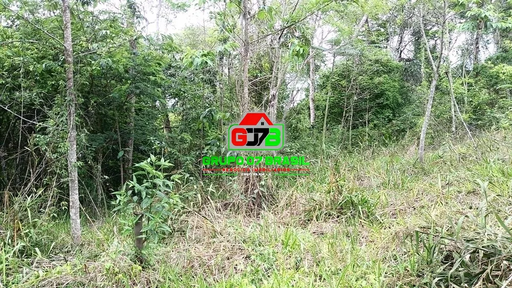 Terreno, 5000 m² - Foto 3