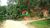 Terreno, 5000 m² - Foto 8
