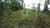 Terreno, 5000 m² - Foto 2