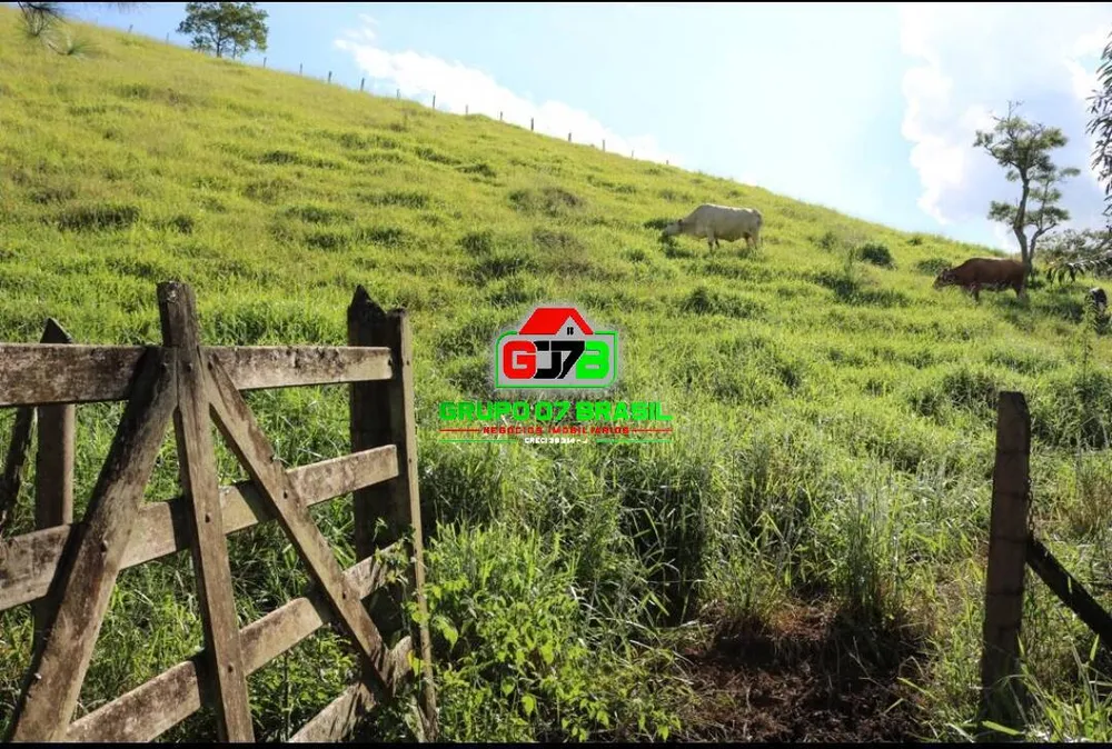 Sítio, 3 quartos, 2 hectares - Foto 4