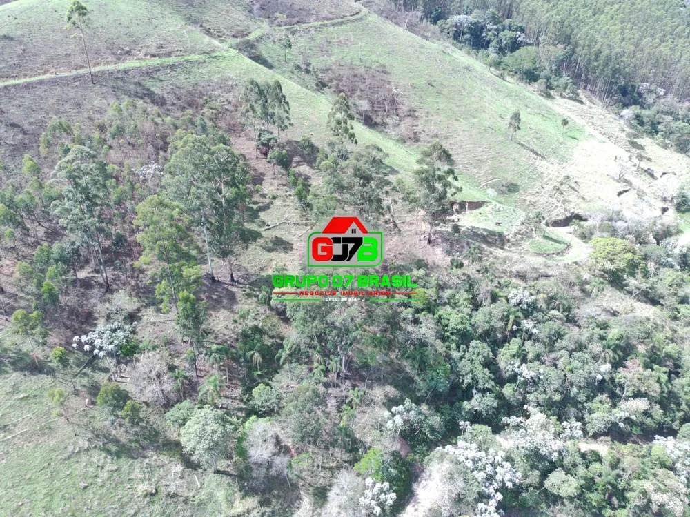 Terreno, 3 hectares - Foto 4