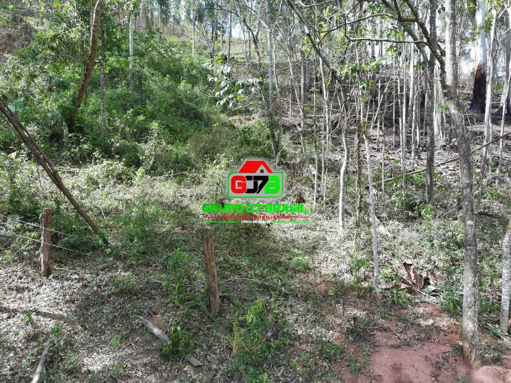 Terreno, 3 hectares - Foto 3