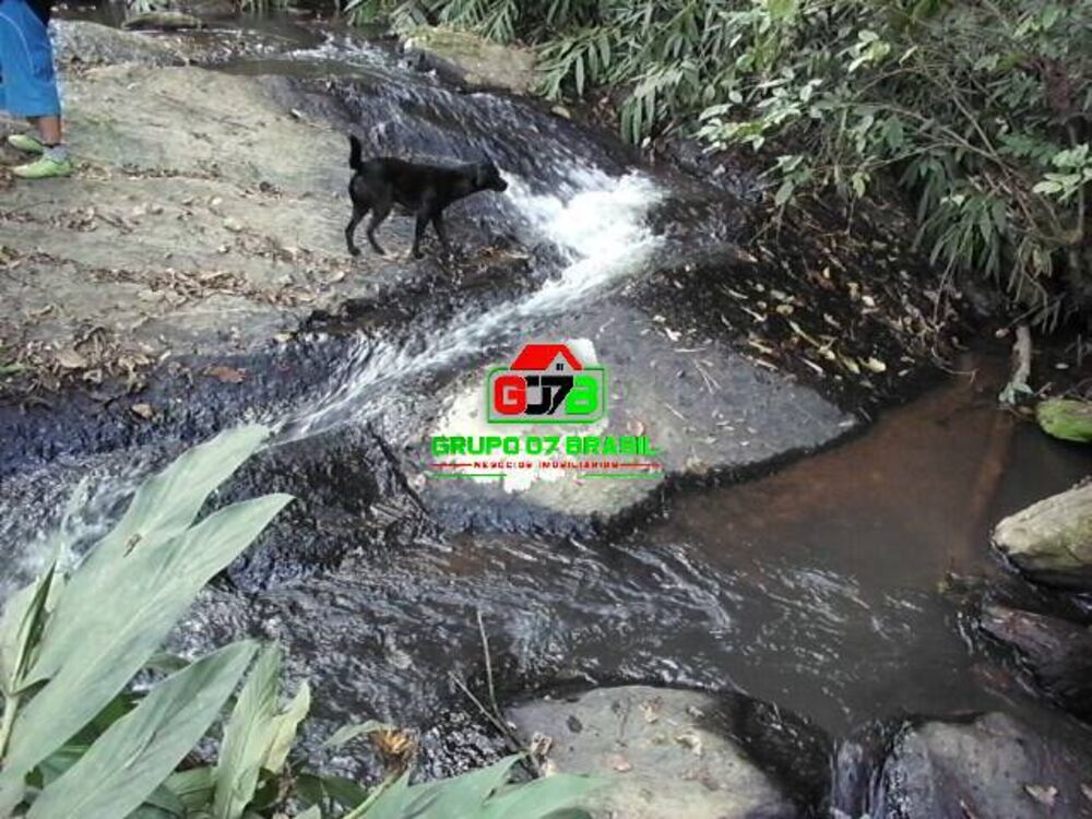 Chácara, 5 quartos, 2 hectares - Foto 4