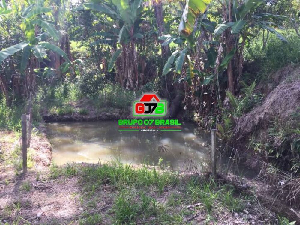 Chácara, 3 quartos, 5000 m² - Foto 4