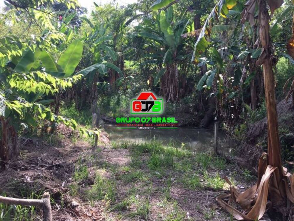 Chácara, 3 quartos, 5000 m² - Foto 8