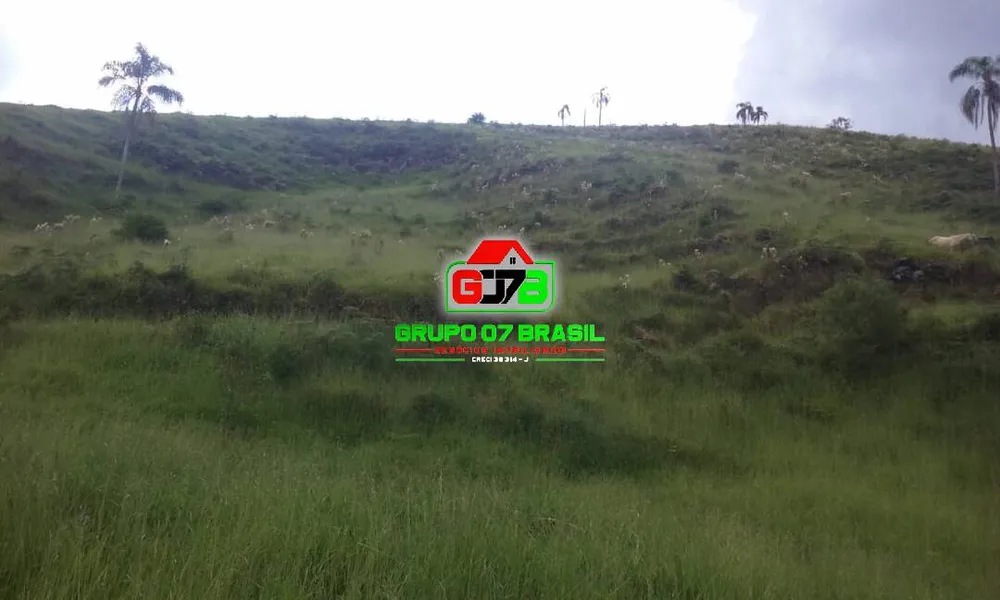 Terreno, 48 hectares - Foto 17