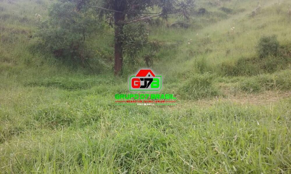 Terreno, 48 hectares - Foto 9