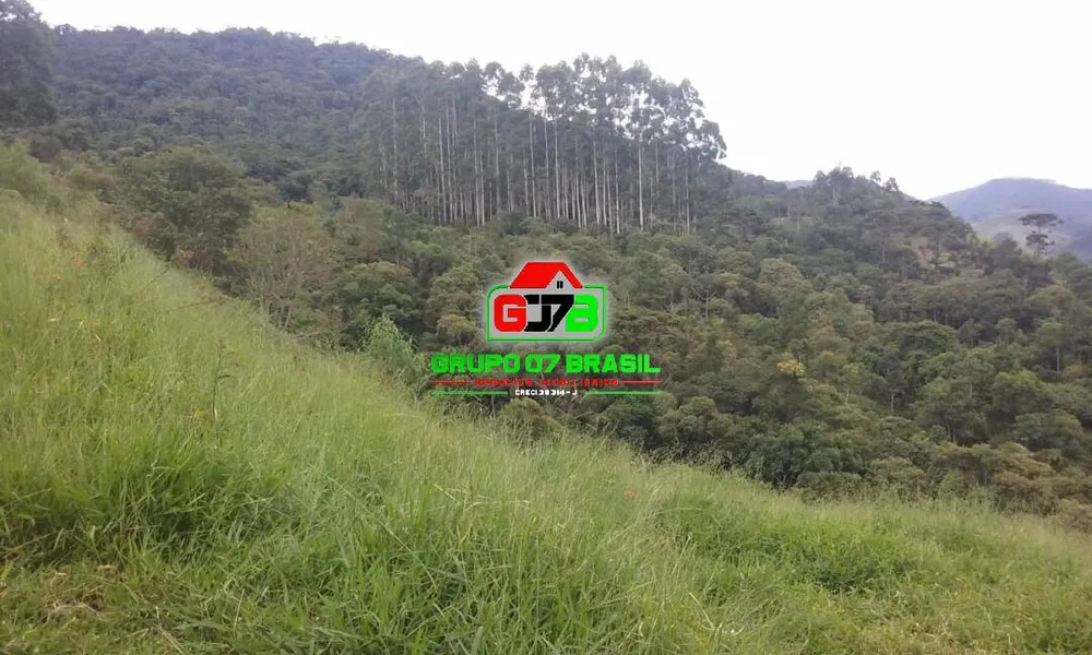 Terreno, 48 hectares - Foto 8
