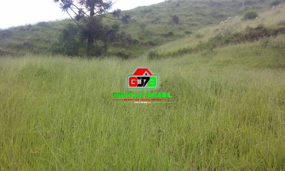 Terreno, 48 hectares - Foto 7
