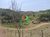 Sítio, 2 quartos, 2 hectares - Foto 4