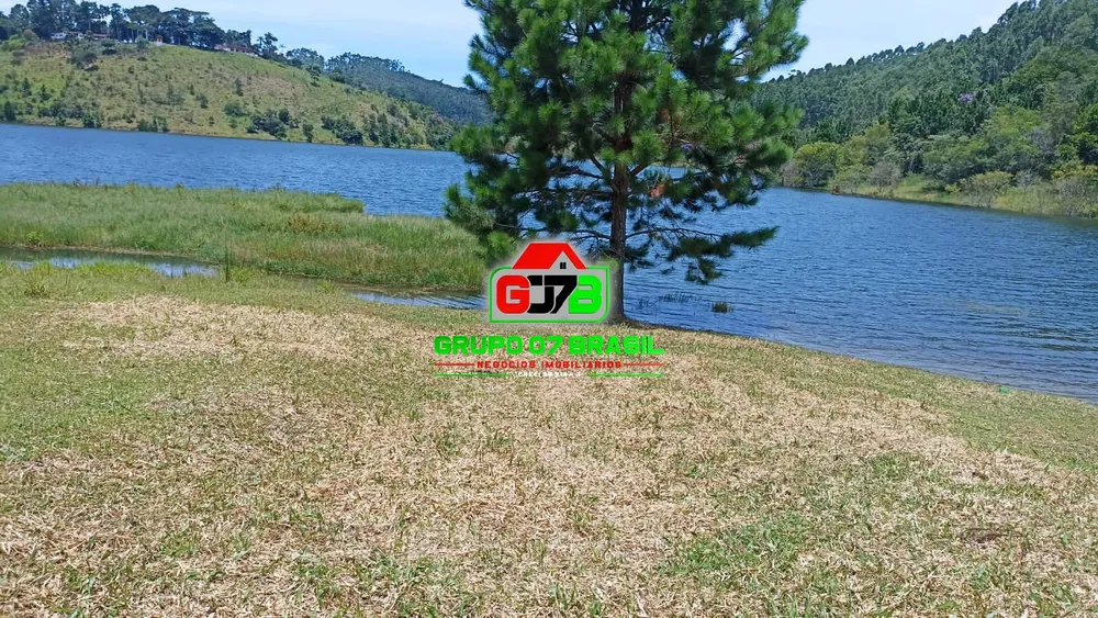 Chácara, 7 quartos, 3 hectares - Foto 4
