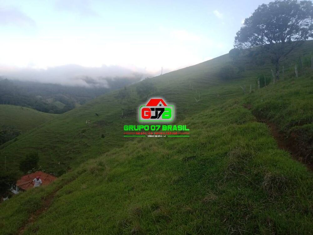 Sítio, 2 quartos, 4 hectares - Foto 8