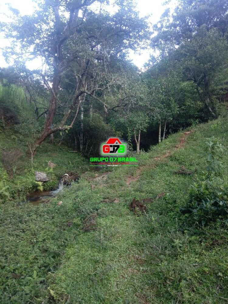 Sítio, 2 quartos, 4 hectares - Foto 7