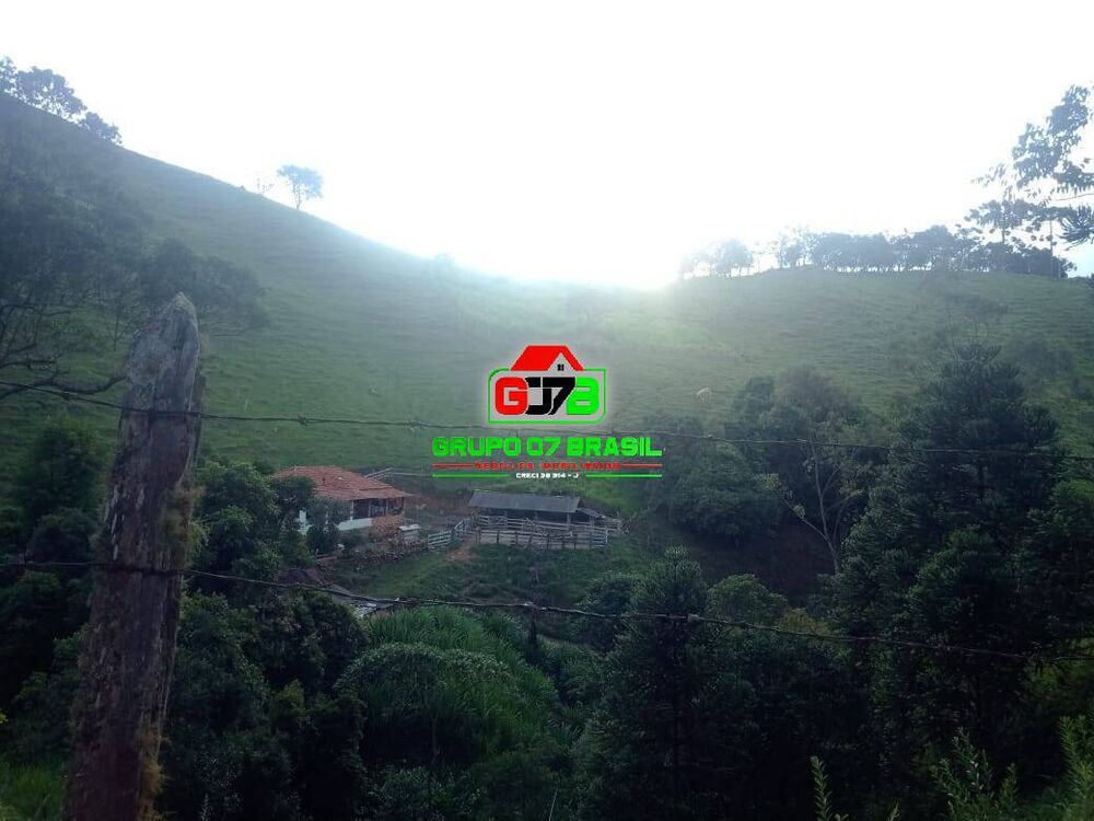 Sítio, 2 quartos, 4 hectares - Foto 4