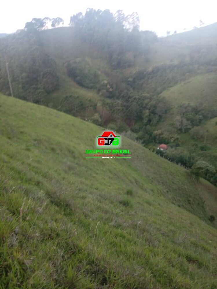 Sítio, 2 quartos, 4 hectares - Foto 2