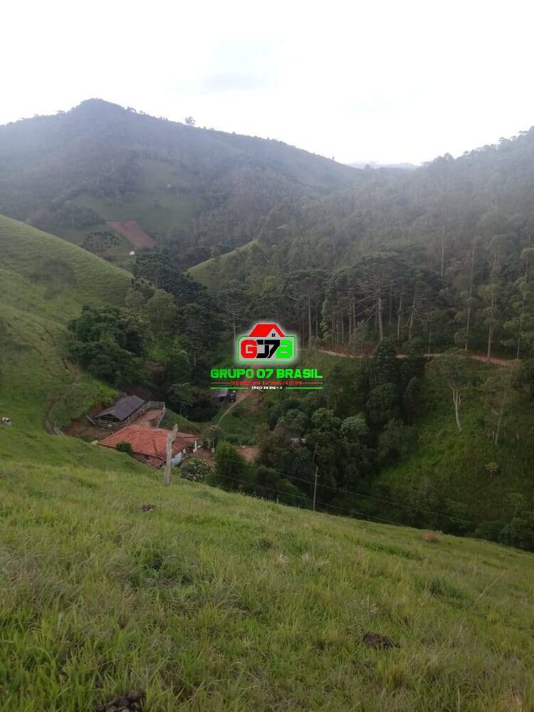 Sítio, 2 quartos, 4 hectares - Foto 6