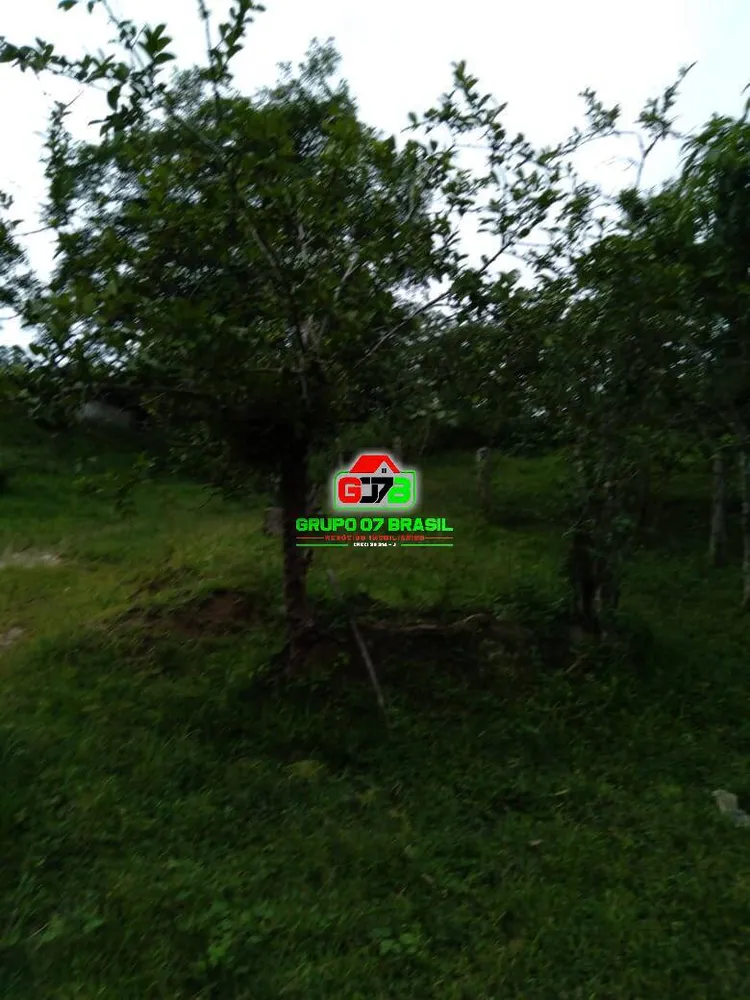 Terreno, 4 m² - Foto 1