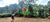 Terreno, 3 hectares - Foto 11