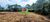 Terreno, 3 hectares - Foto 3