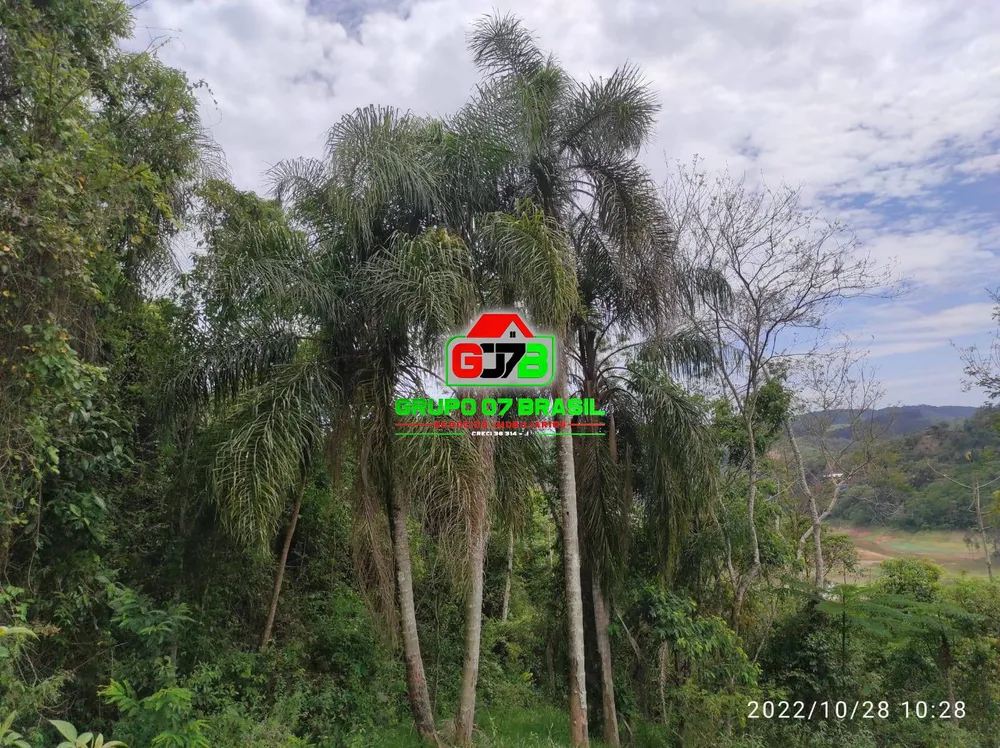 Terreno, 4 hectares - Foto 7