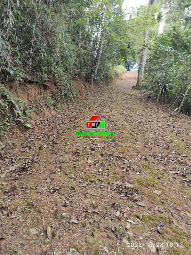 Terreno, 4 hectares - Foto 11