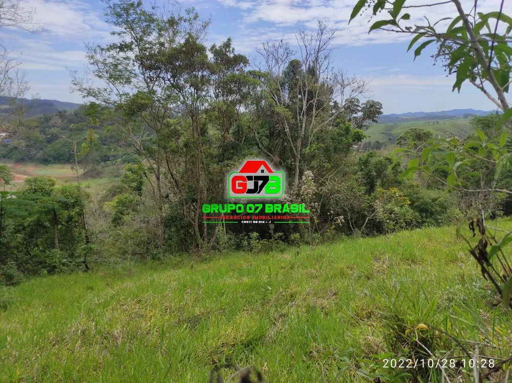 Terreno, 4 hectares - Foto 4