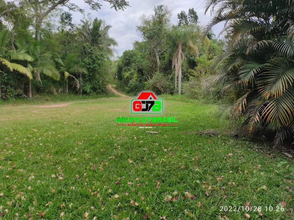 Terreno, 4 hectares - Foto 3