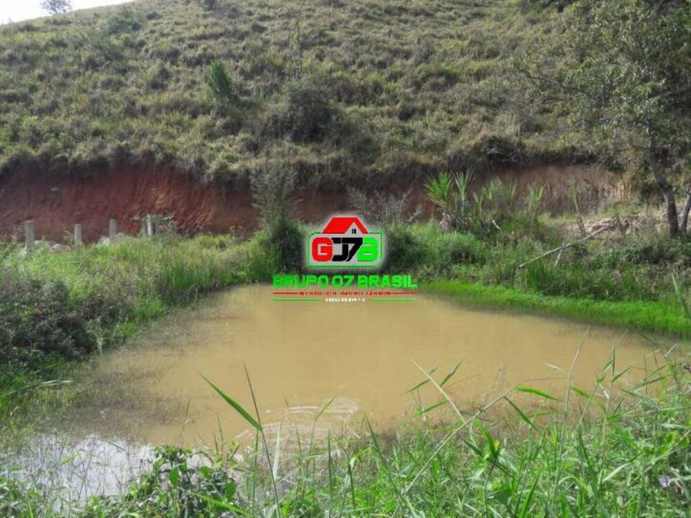 Terreno, 5000 m² - Foto 5