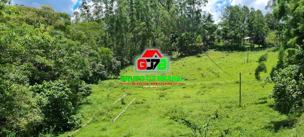 Terreno, 5 hectares - Foto 7