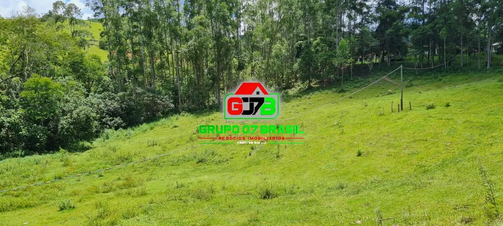 Terreno, 5 hectares - Foto 8