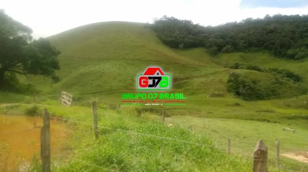 Fazenda, 121 hectares - Foto 7