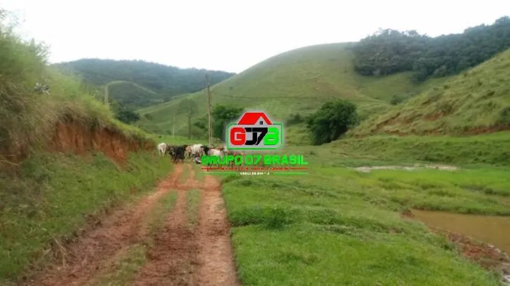 Fazenda, 121 hectares - Foto 4