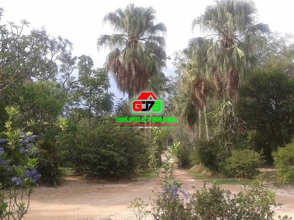 Terreno, 4 hectares - Foto 8