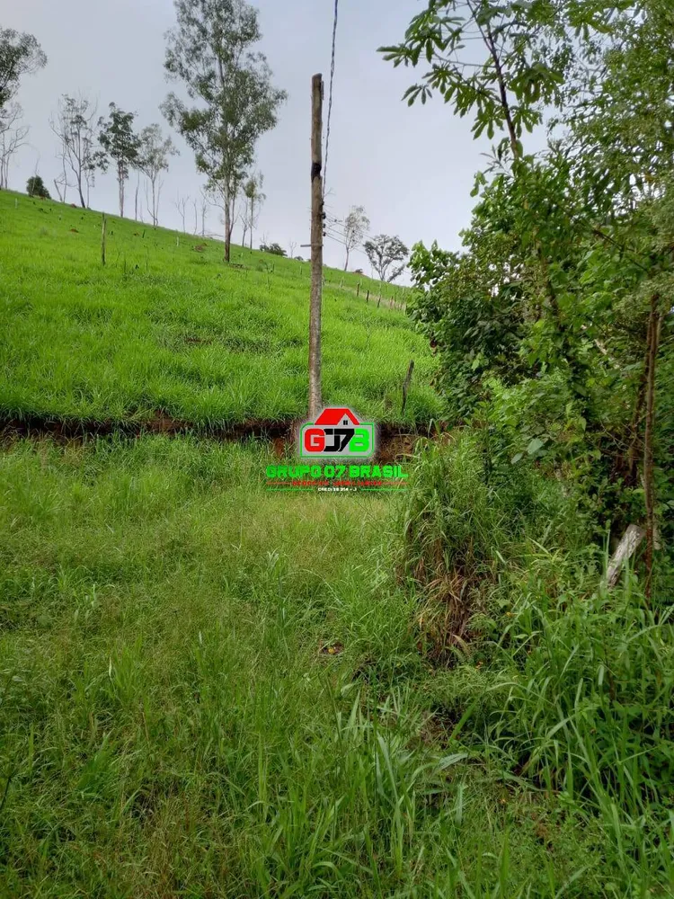 Terreno, 7000 m² - Foto 5