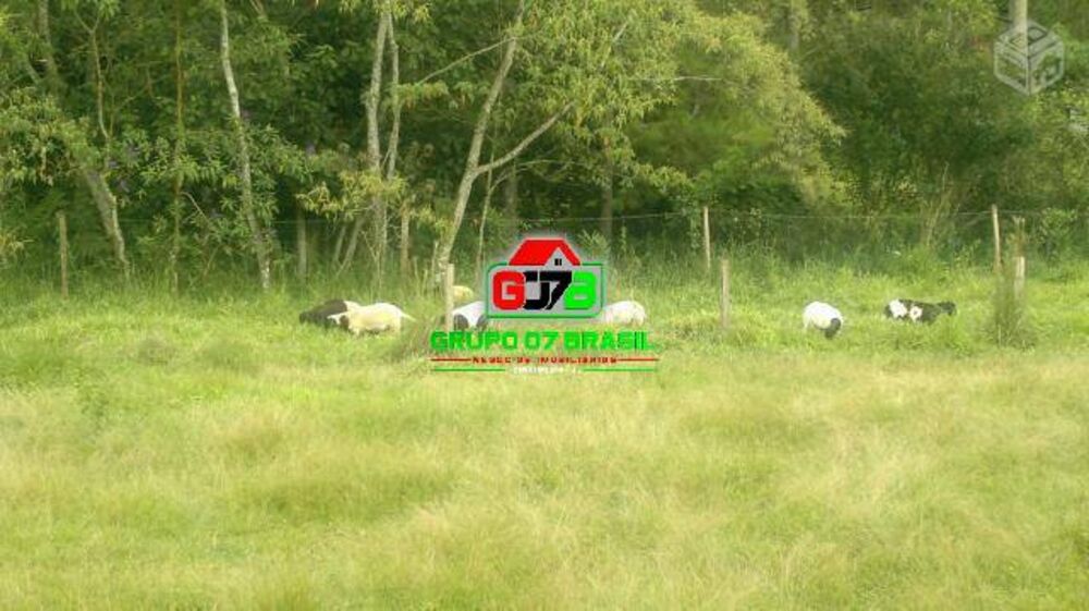 Terreno, 87 hectares - Foto 3