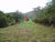 Terreno, 25 hectares - Foto 2