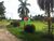 Terreno, 25 hectares - Foto 1