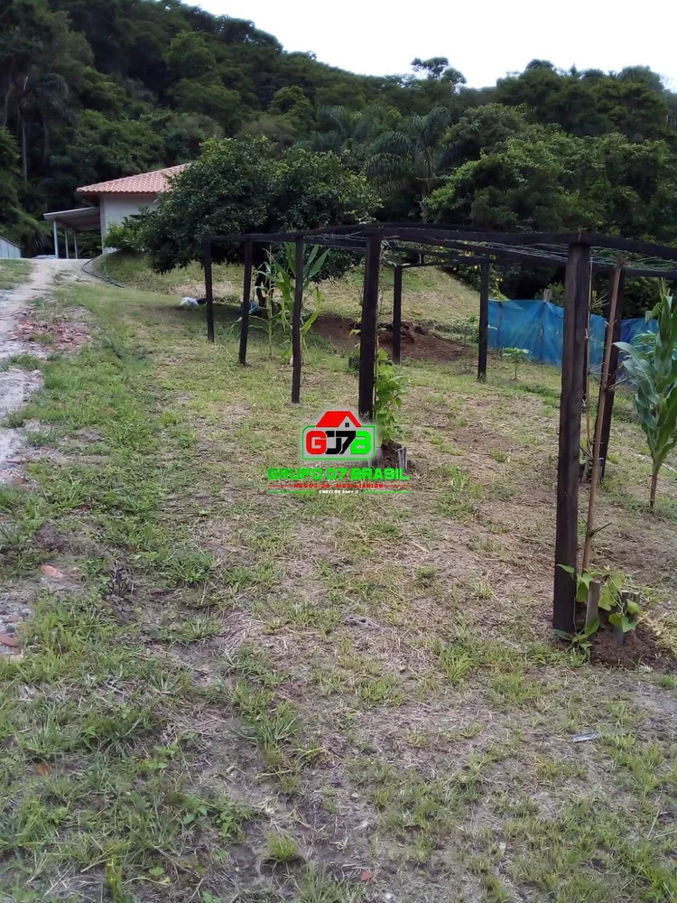 Terreno, 2 hectares - Foto 4
