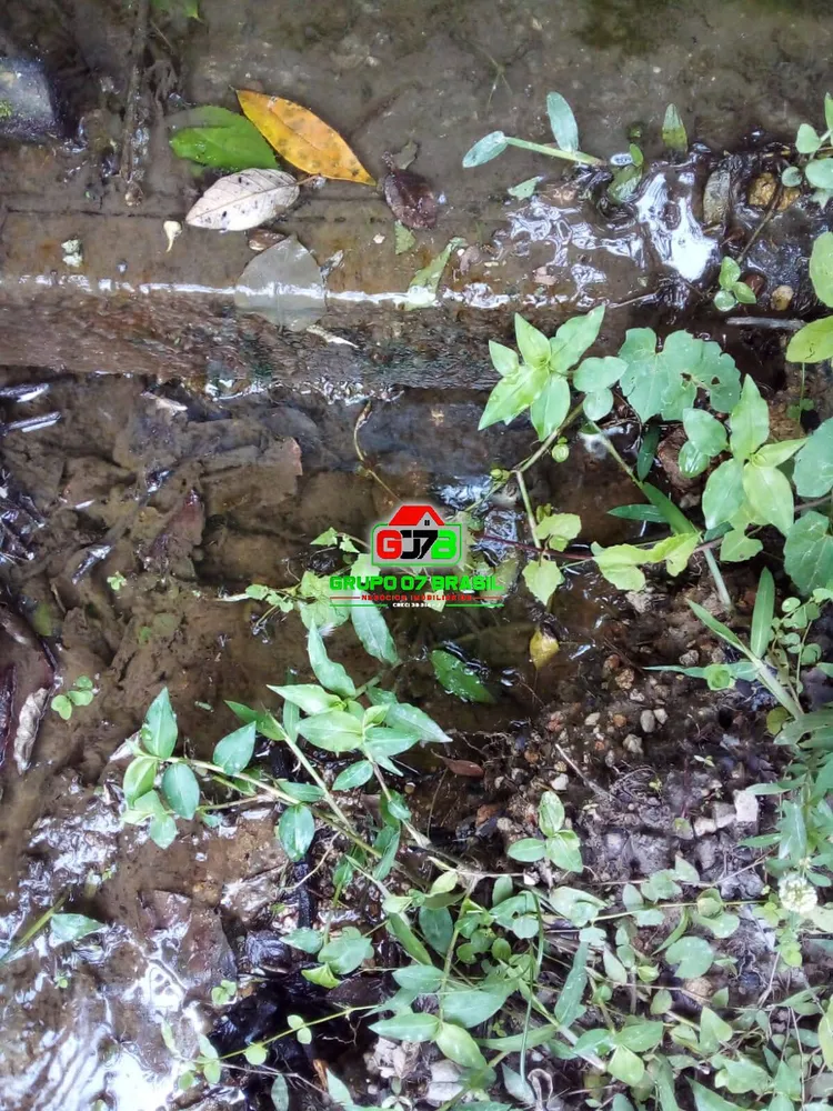 Terreno, 2 hectares - Foto 8