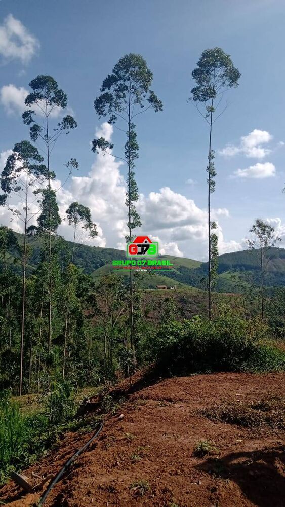 Terreno, 4 hectares - Foto 12