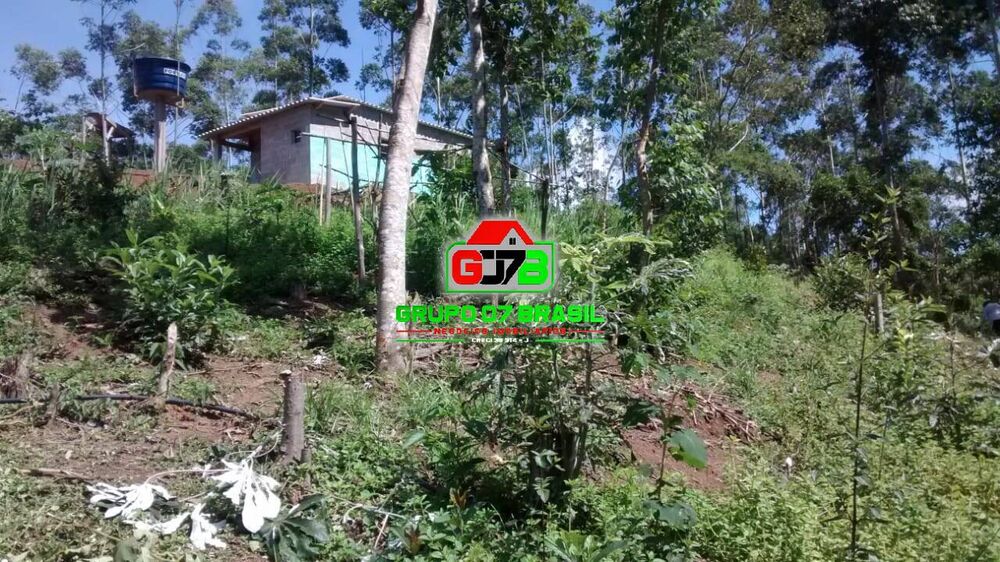 Terreno, 4 hectares - Foto 5