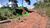 Terreno, 4 hectares - Foto 3
