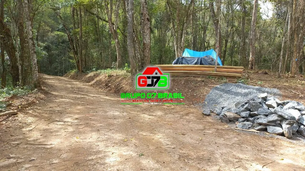 Terreno, 2 hectares - Foto 2